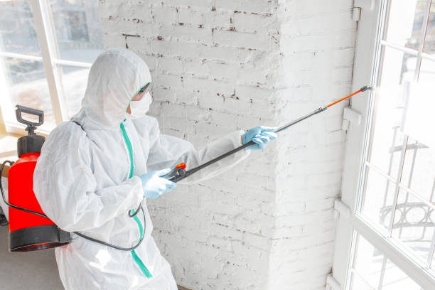 Mold Documentation for Insurance Claims in Mount Olive, NC