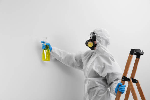 Mount Olive, NC Mold Removal & Remediation Company